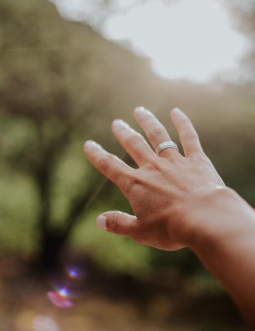 rosario-janza-T-zKpuQ-Y_Y-unsplash